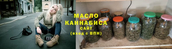 2c-b Инсар