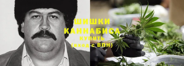 a pvp Каменногорск
