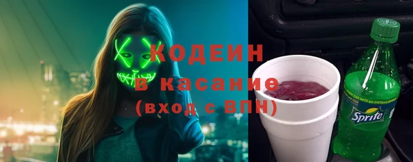 2c-b Инта