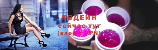 2c-b Инсар