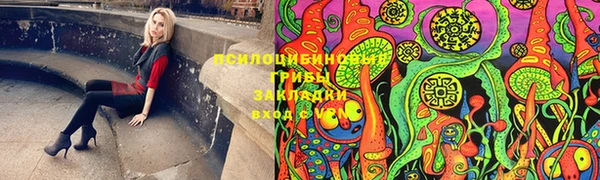 2c-b Инта