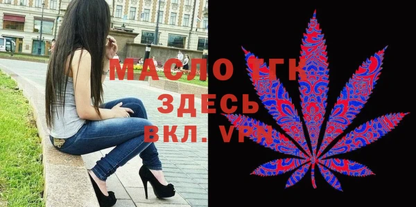 2c-b Инсар