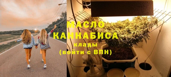 2c-b Инсар