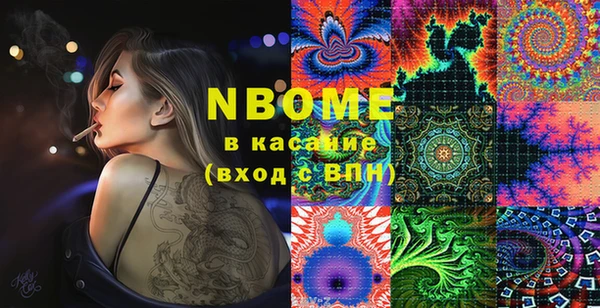 2c-b Инсар