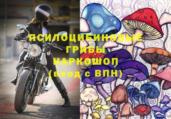 2c-b Инсар