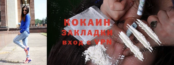 2c-b Инсар